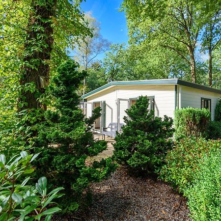 Luxe Familiehuis Veluwe 4-6 Persons Pool Kids Dog Hoenderloo Eksteriør billede